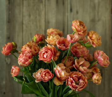 Spring Share